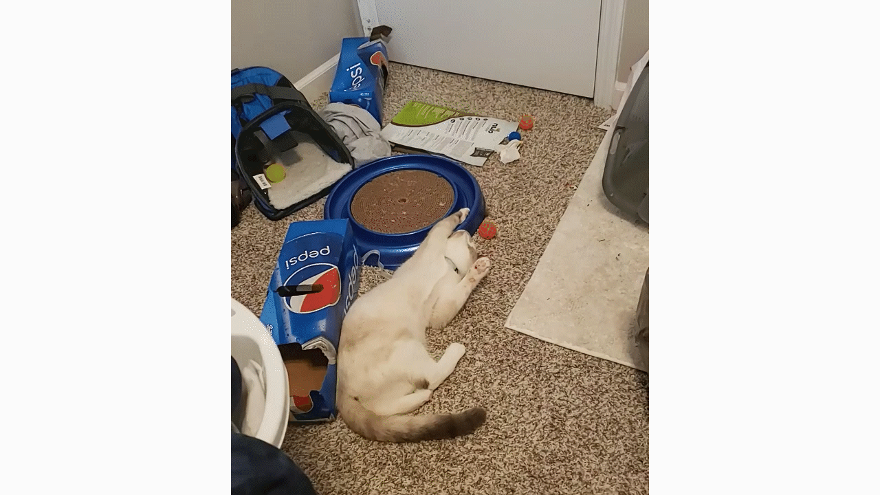 Шёл третий день выходных.