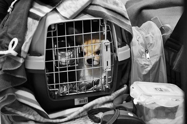 Фото из личного архива