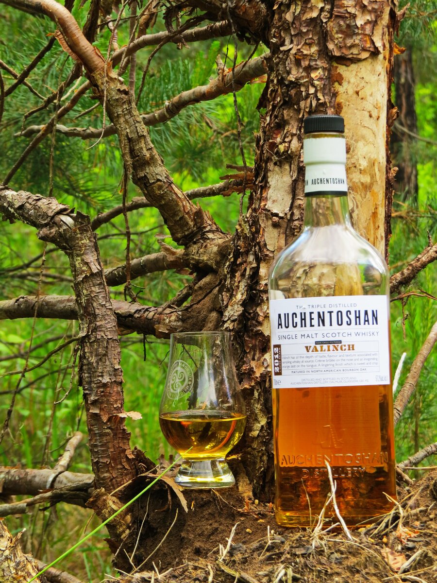 фото  автора