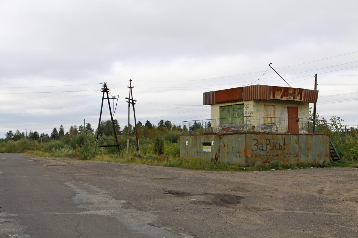 Девушки в Печоре - бесплатный сайт знакомств с женщинами в Печоре Теамо