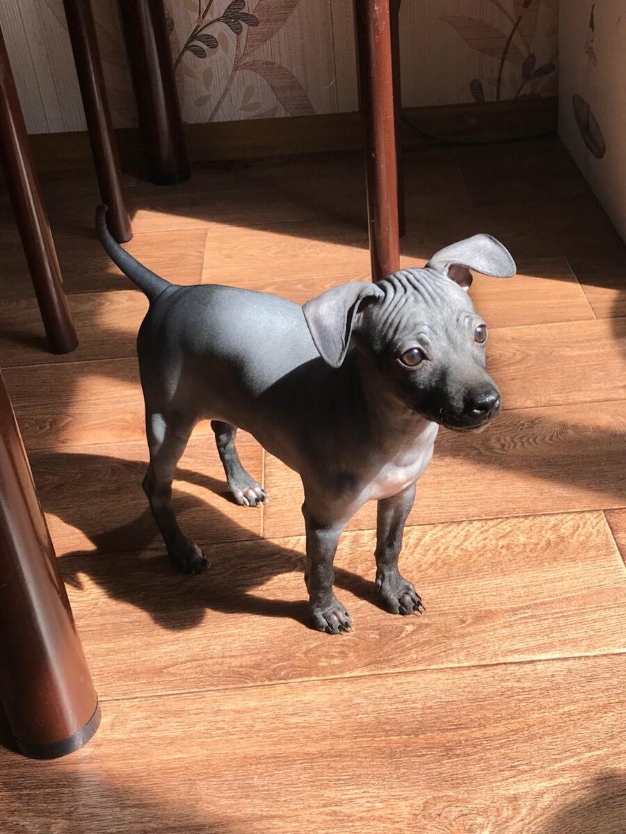 Ну посмотрите какая прелесть (нет)