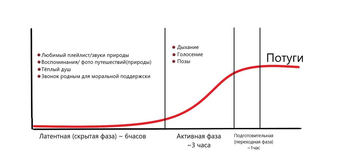 Фазы родовой деятельности