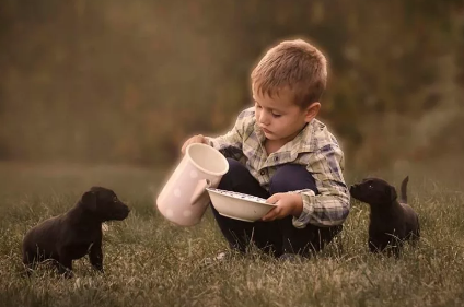 Яндекс картинки.