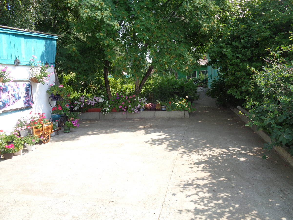 Вид от калитки
