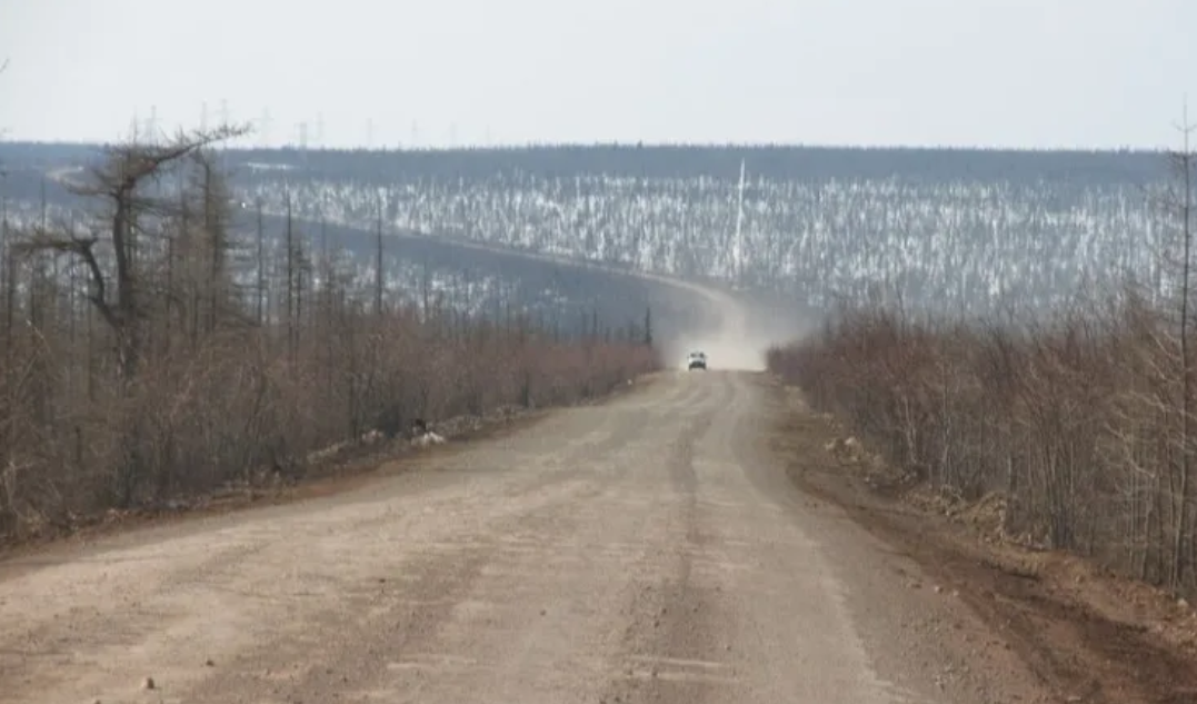 фото с Яндекса.- mmarusya.gallery.ru. Дорога.