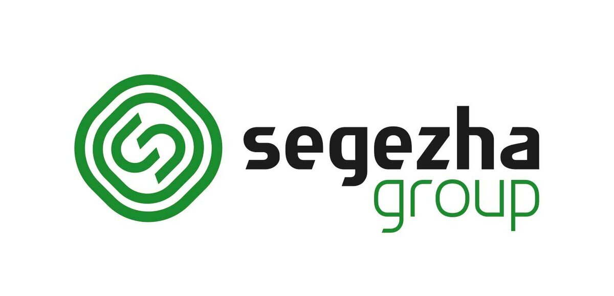                                                                Рис. 1 Segezha group