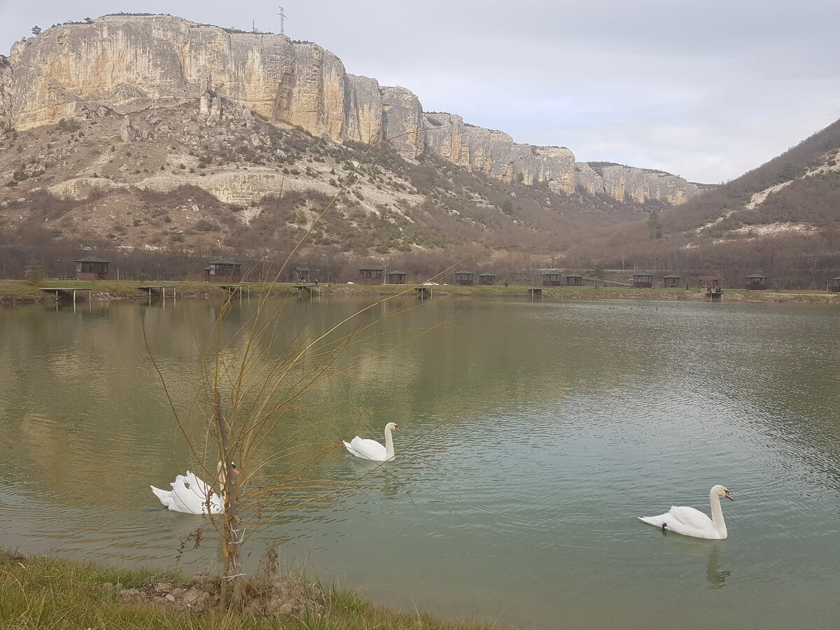 Село в глубинке - особая магия предгорных мест. Шикарный парк в  оригинальном деревянном стиле. И про цены на квартиры и дома. | Добрый  Крым. | Дзен