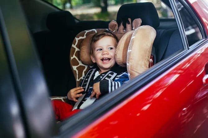 Фото: Shutterstock