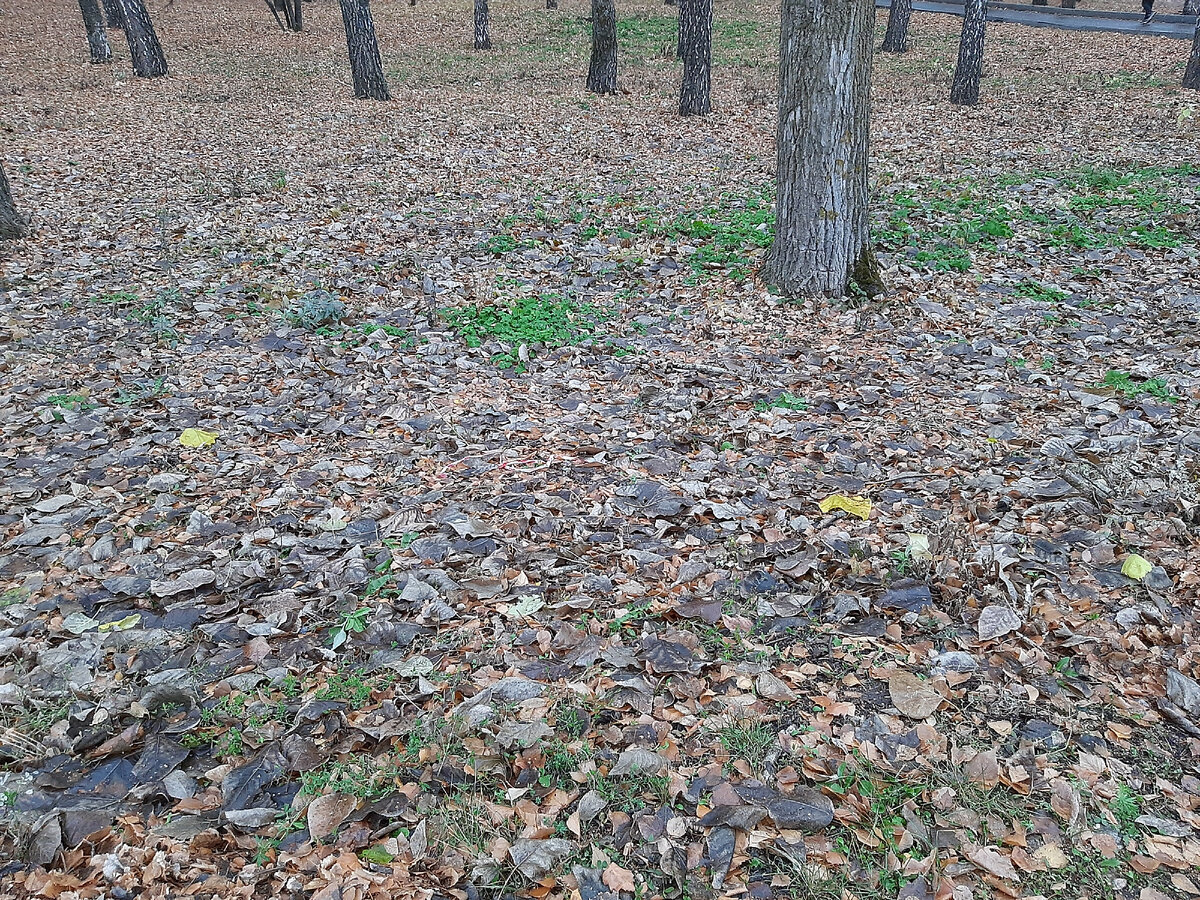 Фотография из личного архива автора