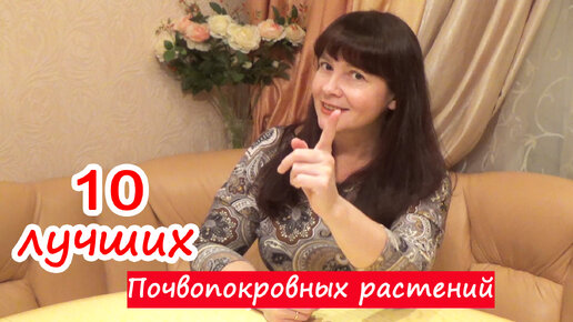 10 лучших почвопокровников из СЕМЯН!