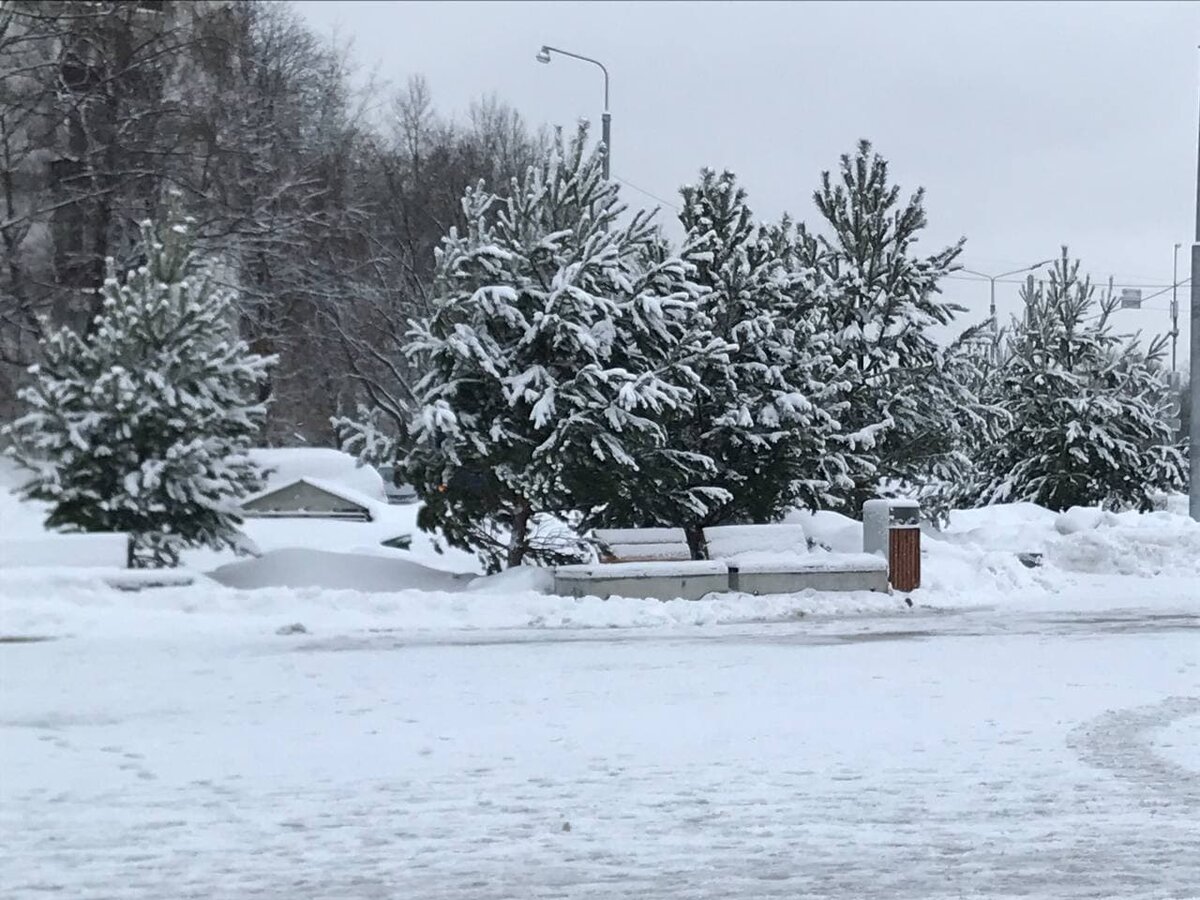 Фото автора канала