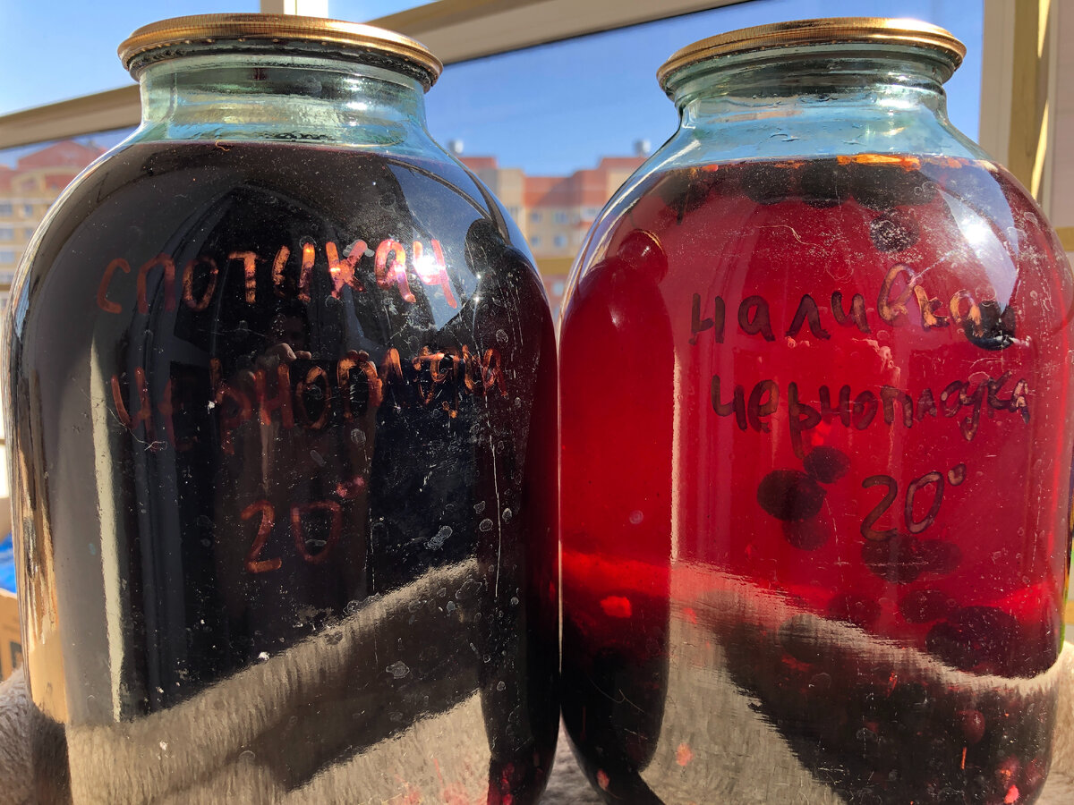 Спотыкач сразу насыщенный цвет