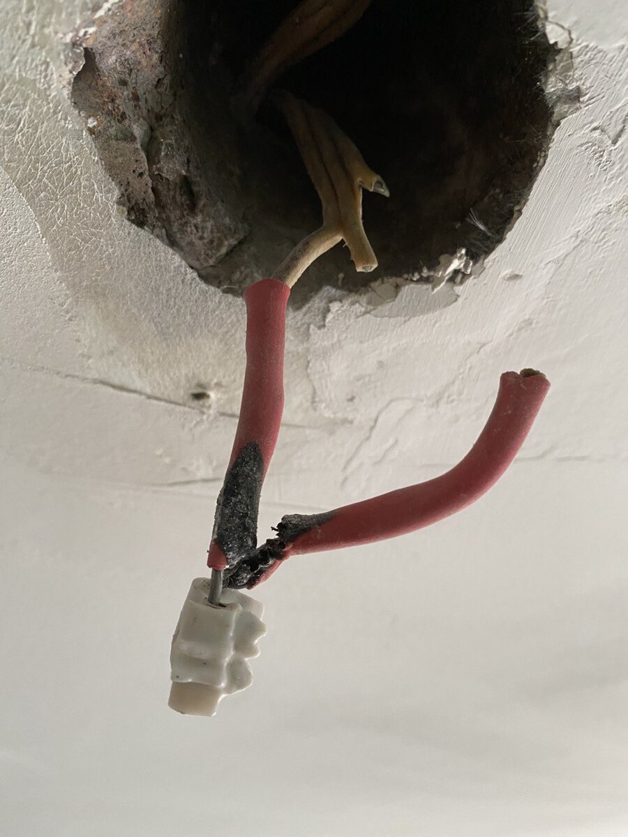 Провод который проходил в канале перекрытия был поврежден