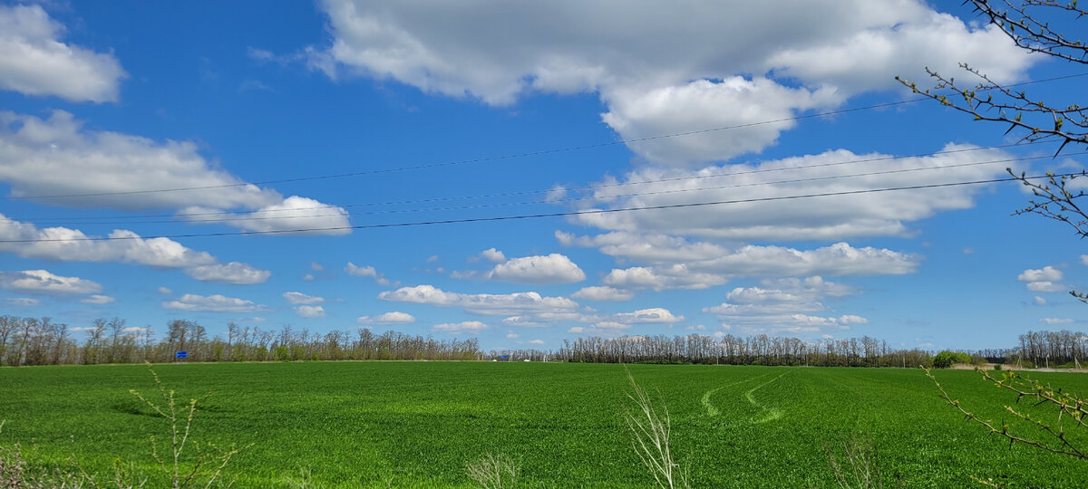 Большие Салы. Май 2022