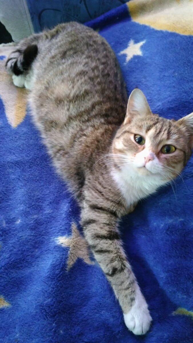 Добрая Леся. Но кто знает, что у нее на уме))