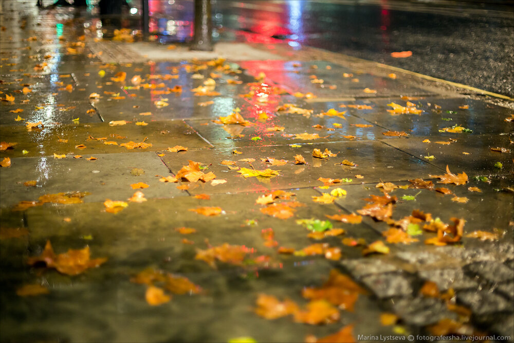 Дождливая осень. Осень дождь. Осенний дождь в городе. Осень город дождь. По настоящему осенний дождь