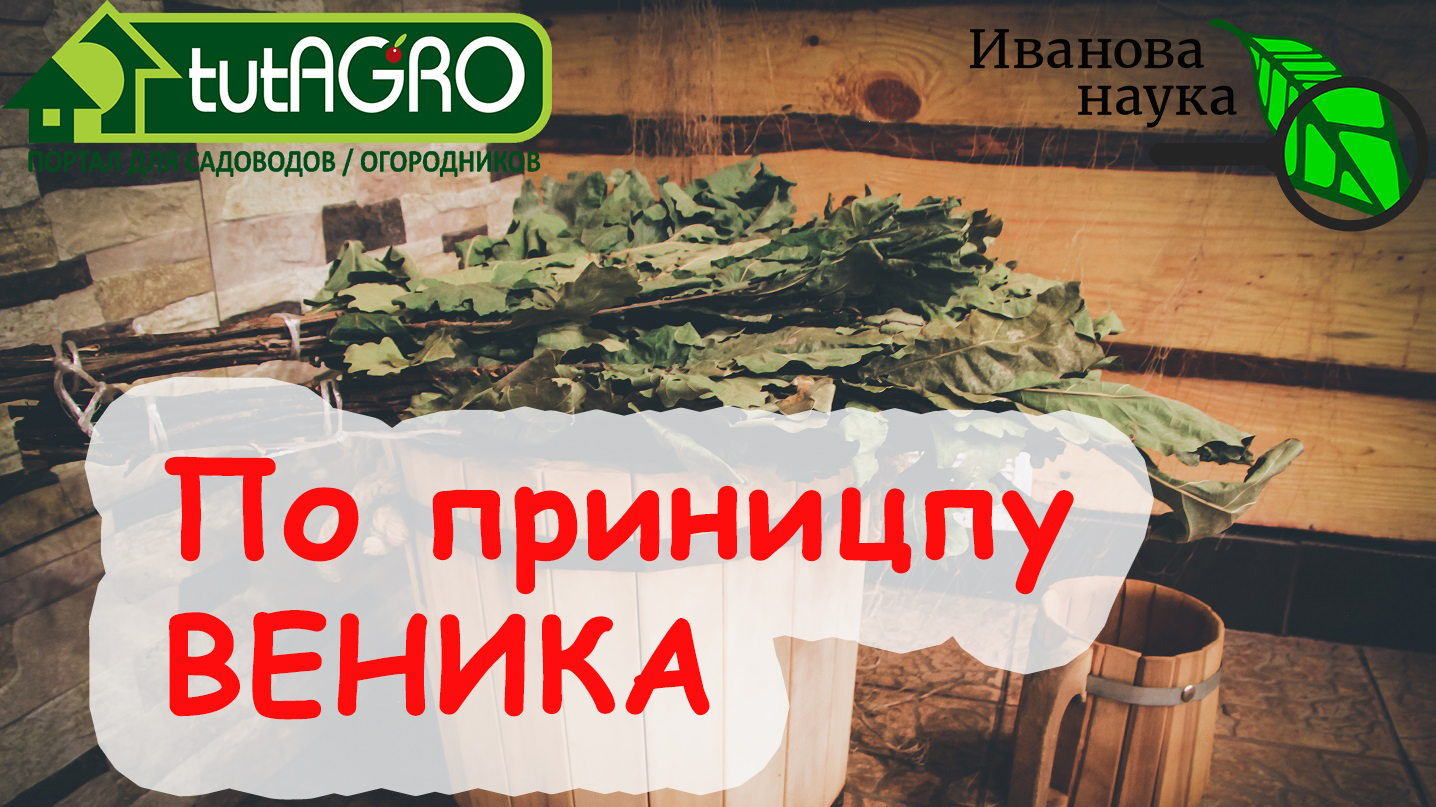 Используйте ЭТО БЕСПЛАТНОЕ СРЕДСТВО вместо ВОДЫ и вы не узнаете свой САД и  ОГОРОД! Чудесное преображение!