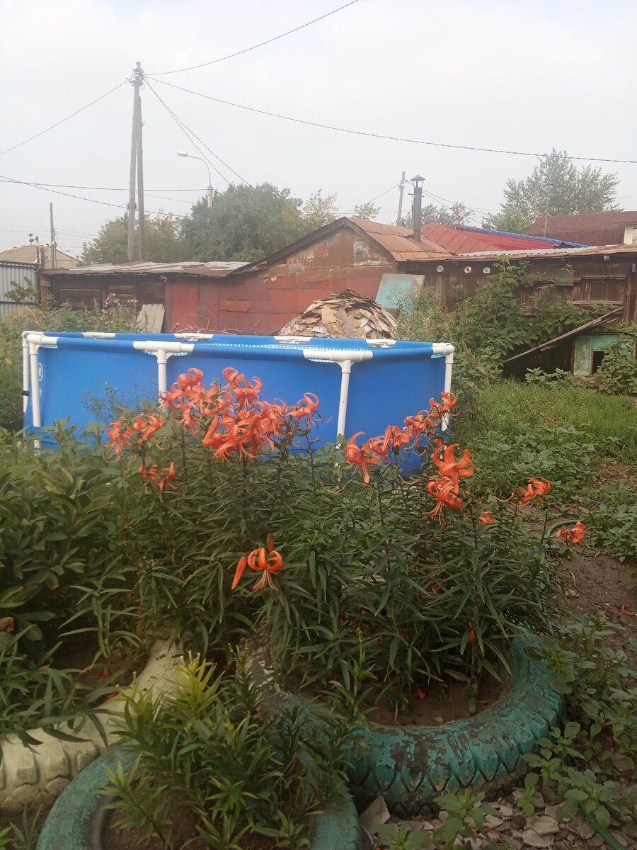 Из личного архива 