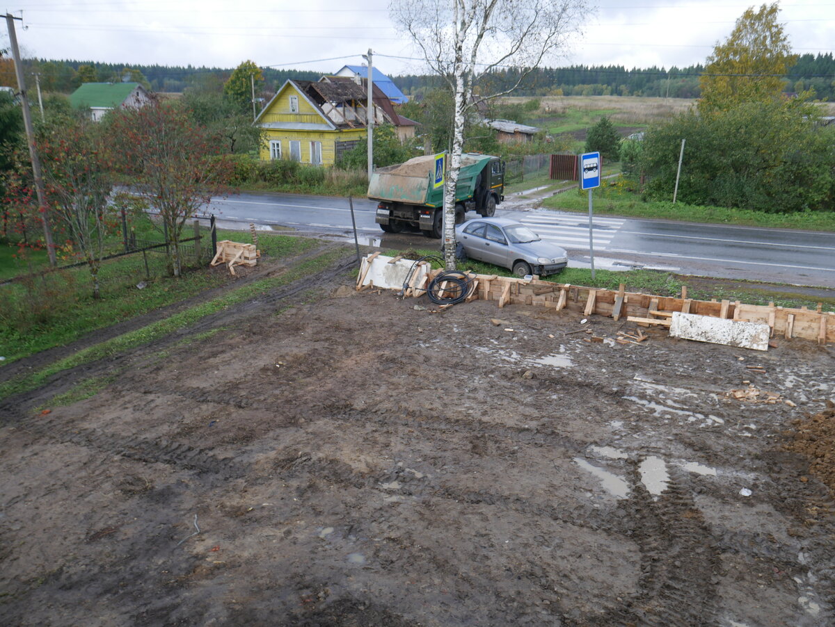 Газон в первый год фото