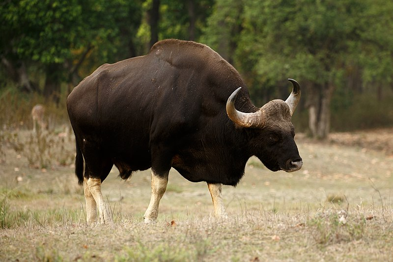- Как-то скромно меня описали
