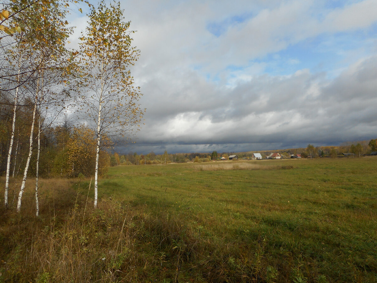Фото автора.