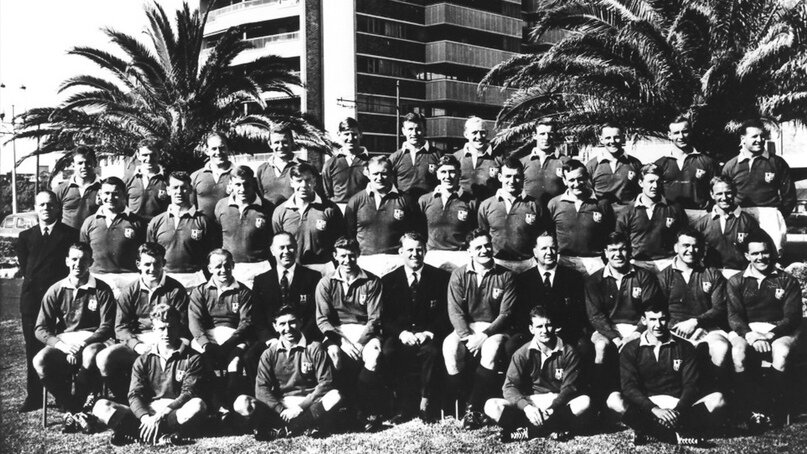 Фотоматериал взят с сайта lionsrugby.com 