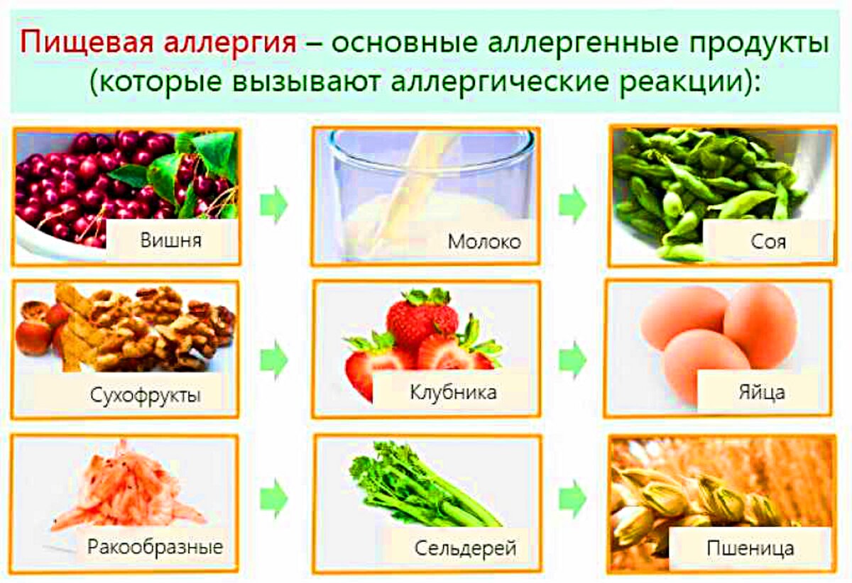 Аллергенные продукты. Галютаргеные продукты. Основные пищевые аллергены.