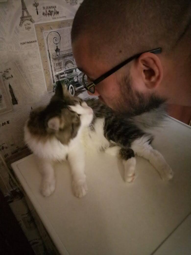 Единственный кто мог взять на руки этого красавчика, был мой сын. Но сейчас он на СВО. 