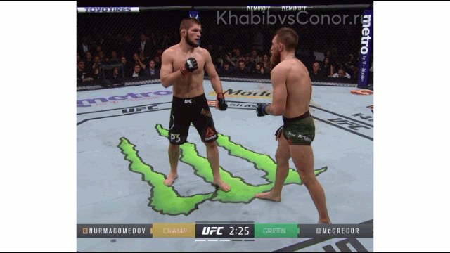 Хабиб попадает