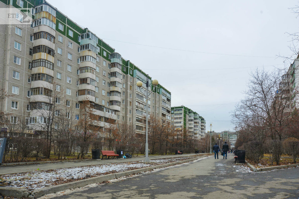 ПЕШЕХОДНЫЙ ПЕРИОД: бульварные ростки на Ботанике | Отдых.today | Дзен