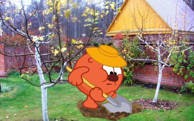 Готовим дачу к зиме правильно