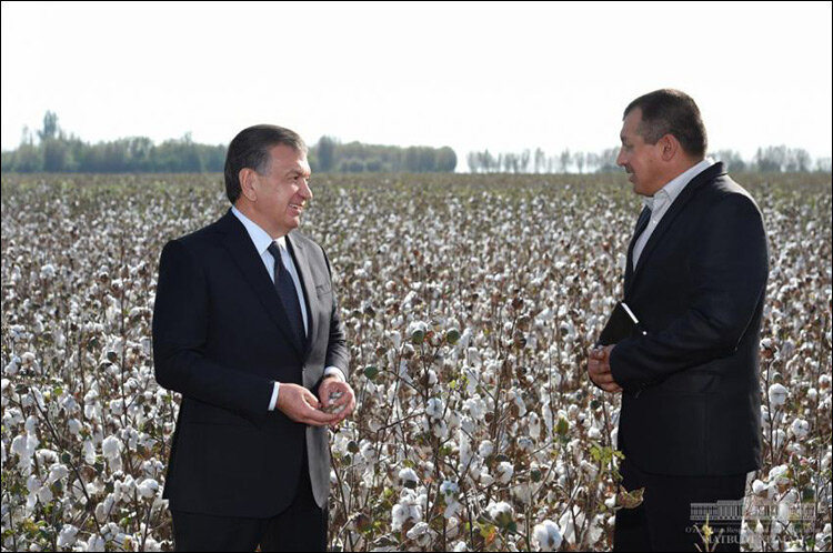 Шавкат Мирзиёев (слева) в ходе поездки в Букинский район Ташкентской области. Фото пресс-службы президента Узбекистана