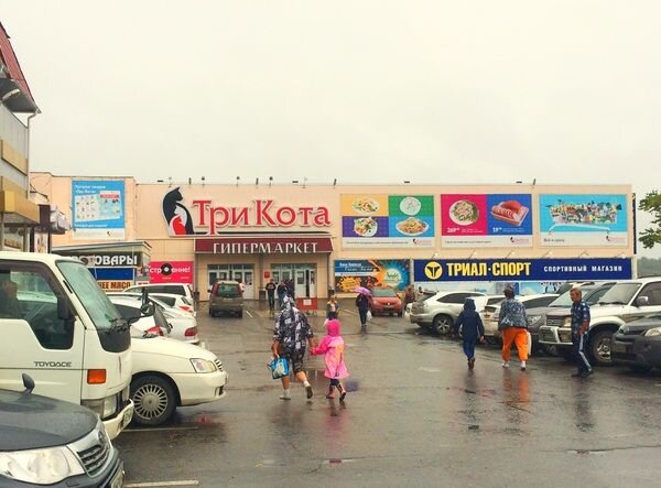 «Три кота» Сергея Богдана испытывает финансовые сложности. Фото: с сайта «Три кота»