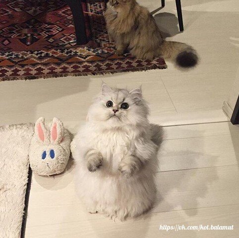 Утро начинается не с кофе :)