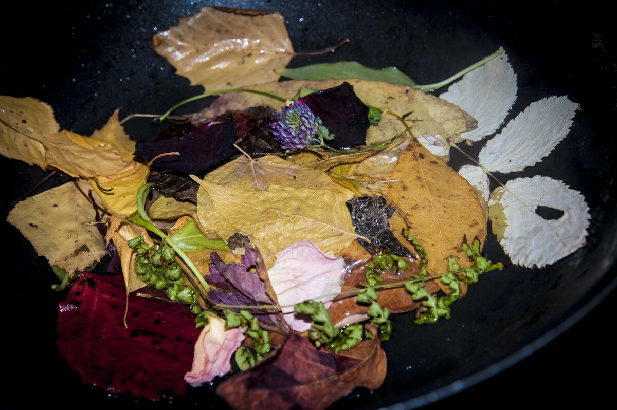 Сразу скажу, не весь этот набор пережил экзекуцию варкой