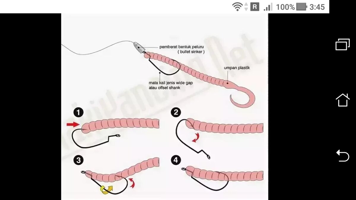Насадить силикон на офсетный крючок: насадить червя | Фото заметки из моей  жизни в Крым | Дзен