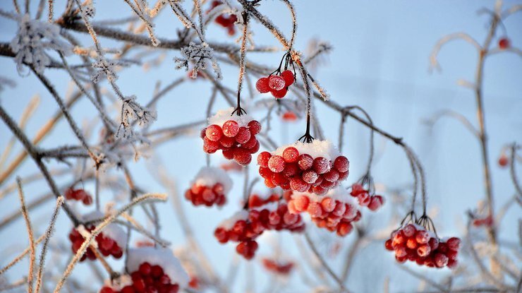 Фото Podrobnosti.ua