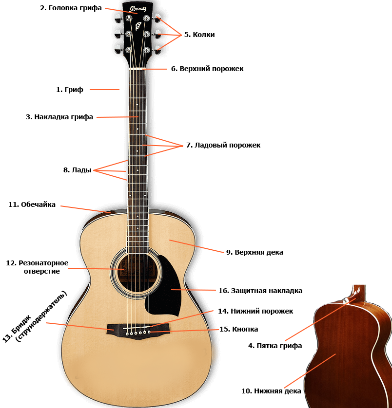 1-Гриф. 2-Головка грифа. 3-Накладка грифа. 4-Пятка грифа. 5-Колки. 6-Верхний порожек. 7-Ладовый порожек. 8-Лады. 9-Верхняя дека. 10-Нижняя дека. 11-Обечайка. 12-Резонаторное отверстие. 13-Бридж (струнодержатель). 14-Нижний порожек. 15-Кнопка. 16-Защитная накладка.
