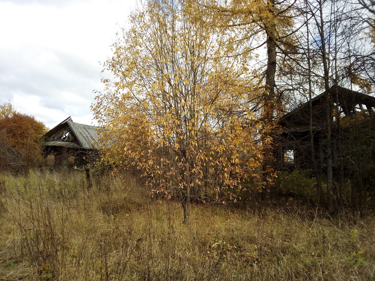 (фото с моего первого осеннего выезда в эту деревню)