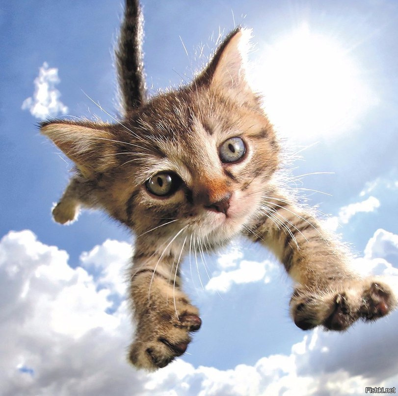 Фото из открытых источников.