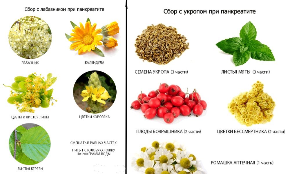 Какие травы любит поджелудочная