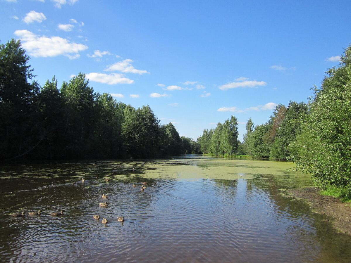 Станция мшинская фото