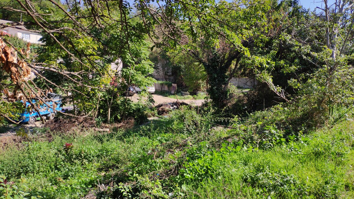                                                                                 Наш участок