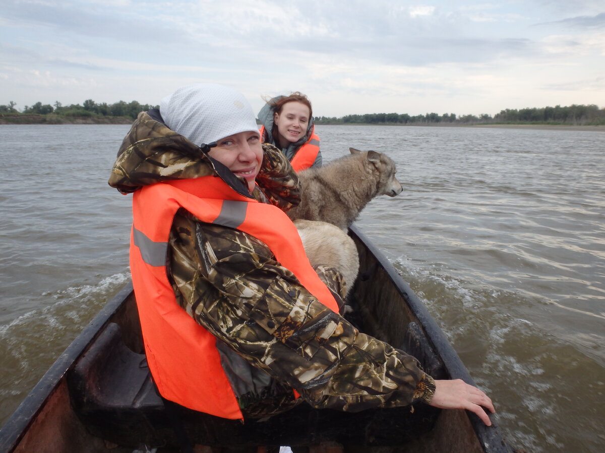 Сидим такие, веселенькие! Ну-ну. Скоро от нашей веселости и следа не останется.