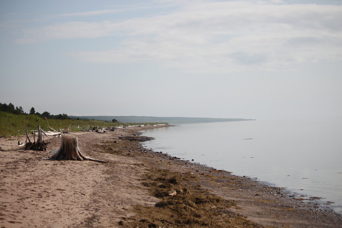 Белое море, Терский берег, Кольский п-ов