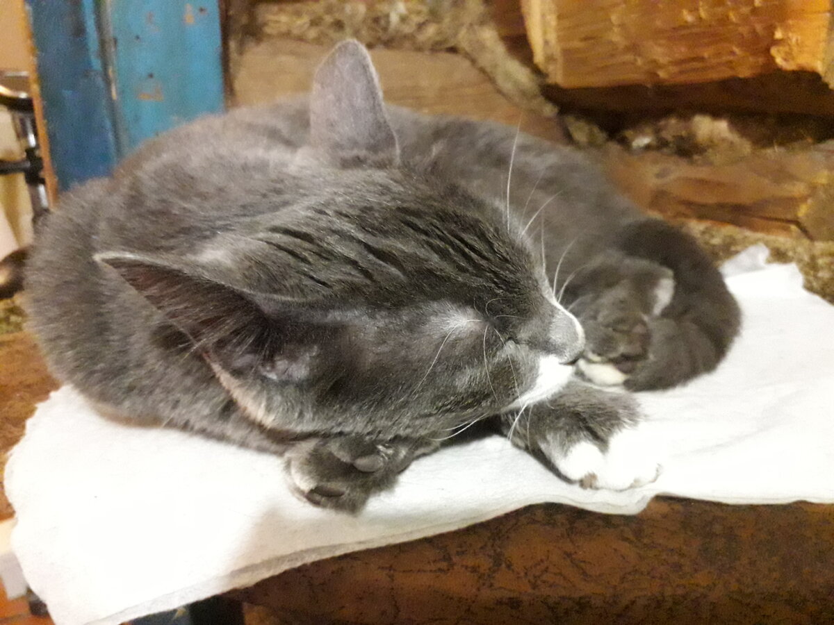 Фото из личного архива автора