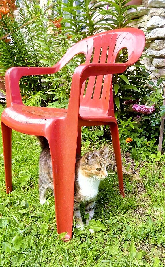 Люся во дворе