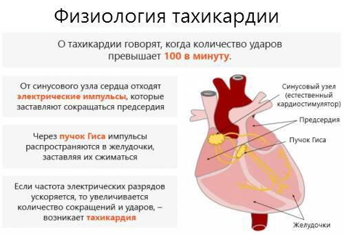 Тахикардия: что это и как с ней бороться? | Новости Одессы