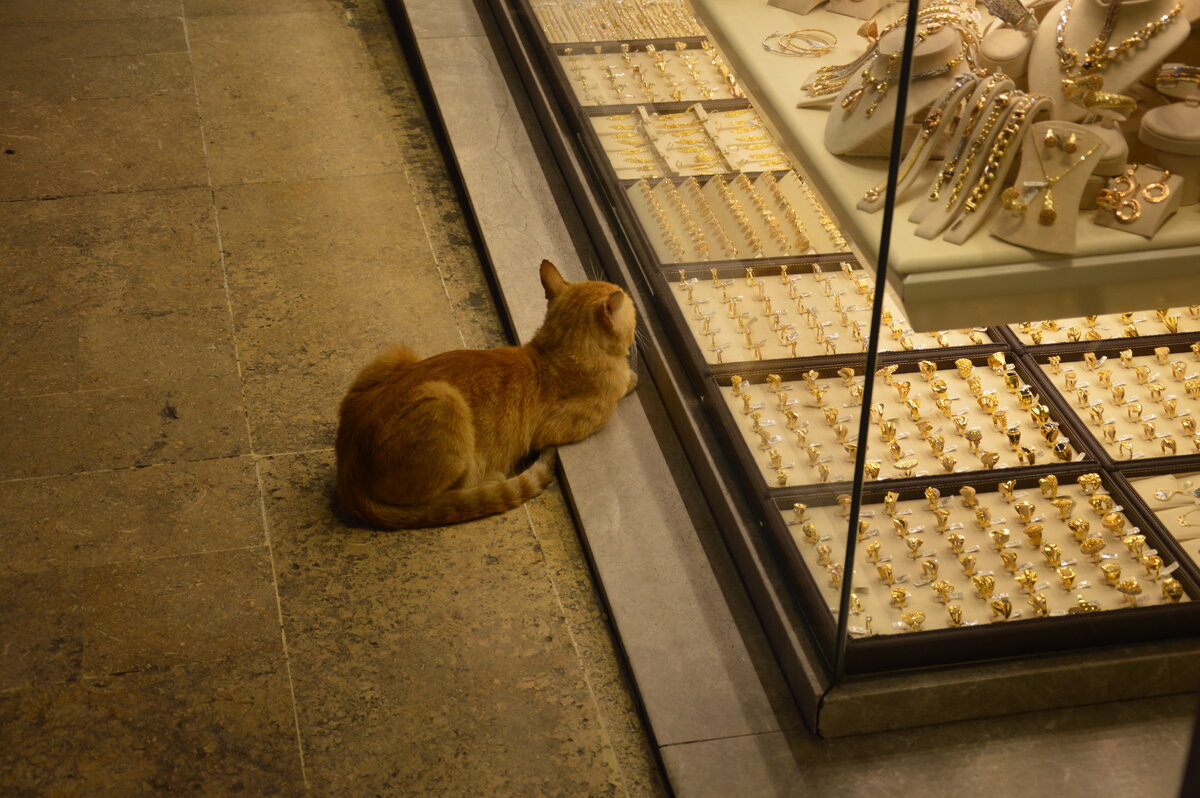 Там груды золота лежат, котэ они принадлежат...