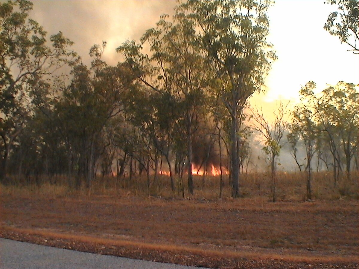 Пожар в парке Какаду, Австралия